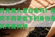 月光美人是白茶嗎？探究不同茶類下的身份及其所屬樹種