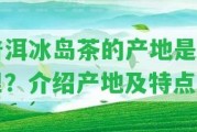 普洱冰島茶的產地是哪里？介紹產地及特點