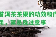 普洱茶茶果的功效和作用，禁忌及留意事