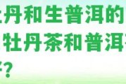 白牡丹和生普洱的區(qū)別，白牡丹茶和普洱茶哪個(gè)好？