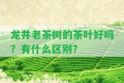 龍井老茶樹(shù)的茶葉好嗎？有什么區(qū)別？