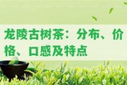 龍陵古樹茶：分布、價(jià)格、口感及特點(diǎn)