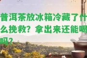 普洱茶放冰箱冷藏了什么挽救？拿出來還能喝嗎？