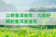 口糧普洱推薦：幾款好喝的普洱茶推薦