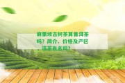 麻栗坡古樹(shù)茶算普洱茶嗎？簡(jiǎn)介、價(jià)格及產(chǎn)區(qū)，該茶有名嗎？