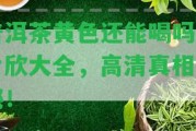 普洱茶黃色還能喝嗎圖片欣大全，高清真相揭秘！