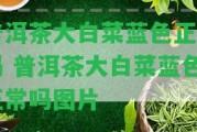 普洱茶大白菜藍色正常嗎 普洱茶大白菜藍色正常嗎圖片