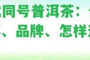 易武同號普洱茶：價格、票、品牌、怎樣選購？