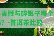 小青柑與碎銀子哪個(gè)好喝？-普洱茶比較