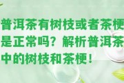 普洱茶有樹枝或茶梗是正常嗎？解析普洱茶中的樹枝和茶梗！