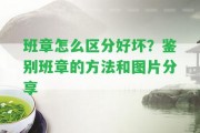 班章怎么區(qū)分好壞？鑒別班章的方法和圖片分享