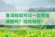 普洱和梨可以一起煮能減肥嗎？功效怎樣？