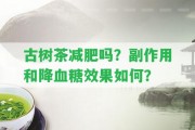 古樹茶減肥嗎？副作用和降血糖效果怎樣？