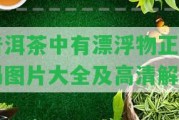 普洱茶中有漂浮物正常嗎圖片大全及高清解析