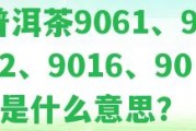 普洱茶9061、9062、9016、901是什么意思？