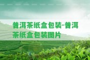 普洱茶紙盒包裝-普洱茶紙盒包裝圖片