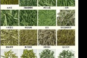 【綜合】中國紅茶百科全書，茶博會(huì)