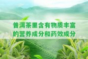 普洱茶里含有物質(zhì)豐富的營(yíng)養成分和藥效成分