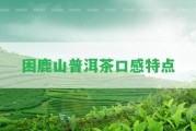 困鹿山普洱茶口感特點