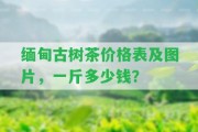 緬甸古樹茶價格表及圖片，一斤多少錢？