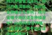 四川種植普洱茶嗎，四川產普洱茶嗎，四川適合種植什么茶樹，四川省哪個地區(qū)適合種植茶葉？nn四川適合種植什么茶樹，哪個地區(qū)適合種植茶葉？