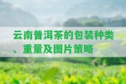 云南普洱茶的包裝種類、重量及圖片策略