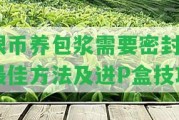 銀幣養(yǎng)包漿需要密封：最佳方法及進(jìn)P盒技巧