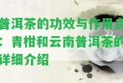 普洱茶的功效與作用點：青柑和云南普洱茶的詳細介紹