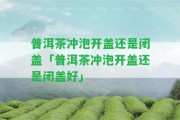 普洱茶沖泡開蓋還是閉蓋「普洱茶沖泡開蓋還是閉蓋好」