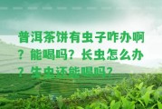 普洱茶餅有蟲(chóng)子咋辦啊？能喝嗎？長(zhǎng)蟲(chóng)怎么辦？生蟲(chóng)還能喝嗎？