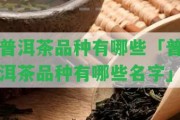 普洱茶品種有哪些「普洱茶品種有哪些名字」