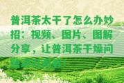 普洱茶太干了怎么辦妙招：視頻、圖片、圖解分享，讓普洱茶干燥疑問迎刃而解！