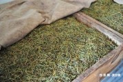 喝普洱茶對(duì)人體好嗎