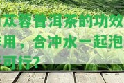 肉蓯蓉普洱茶的功效與作用，合沖水一起泡是不是可行？