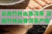 云南竹林山普洱茶 云南竹林山普洱茶產(chǎn)地