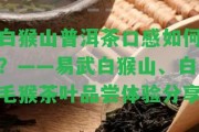 白猴山普洱茶口感怎樣？——易武白猴山、白毛猴茶葉品嘗體驗分享