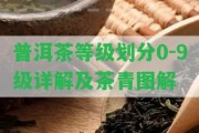 普洱茶等級(jí)劃分0-9級(jí)詳解及茶青圖解