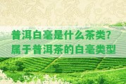 普洱白毫是什么茶類？屬于普洱茶的白毫類型