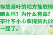 存放茶葉的地方能放樟腦丸嗎？為什么有毒？茶葉不小心跟樟腦丸放一起了。