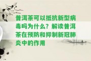 普洱茶可以抵抗新型病毒嗎為什么？解讀普洱茶在預防和抑制新冠肺炎中的作用