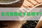 普洱發(fā)霉能不能曬干？