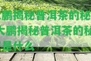 大鵬揭秘普洱茶的秘密-大鵬揭秘普洱茶的秘密是什么