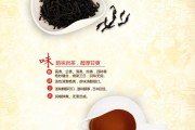 正確品茶 享受細(xì)致生活，貢菊