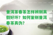 普洱茶春茶怎樣辨別真假好壞？怎樣鑒別普洱春茶真?zhèn)危? class=