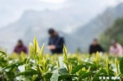 花兒納銀水杯價格