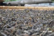 益元素普洱茶的作用是啥？簡介、功效及益源素普洱茶