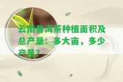 云南普洱茶種植面積及總產(chǎn)量：多大畝，多少產(chǎn)量？