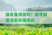 國(guó)有普洱茶嗎？探尋國(guó)普洱茶市場(chǎng)現(xiàn)狀