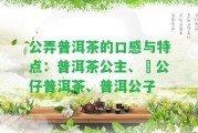 公弄普洱茶的口感與特點：普洱茶公主、孖公仔普洱茶、普洱公子