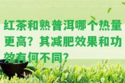 紅茶和熟普洱哪個(gè)熱量更高？其減肥效果和功效有何不同？